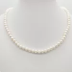 Édes vízi tenyésztett gyöngysor